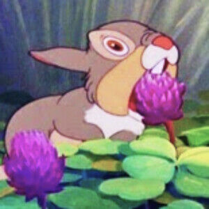 Meet your Posher, Nixe